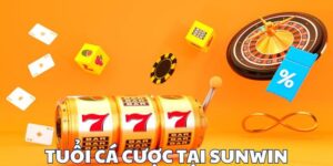 Quy định chung Sunwin về tuổi cá cược